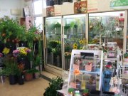 「花トク」　（山口県防府市）の花屋店舗写真2